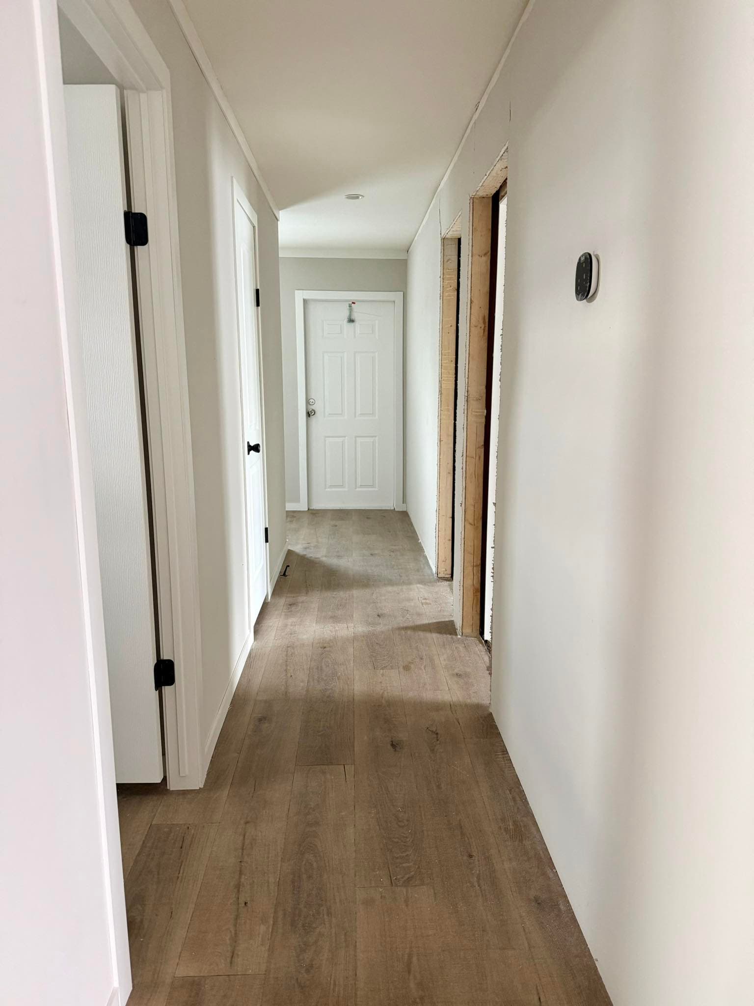 The pelican (hot deal)   home features