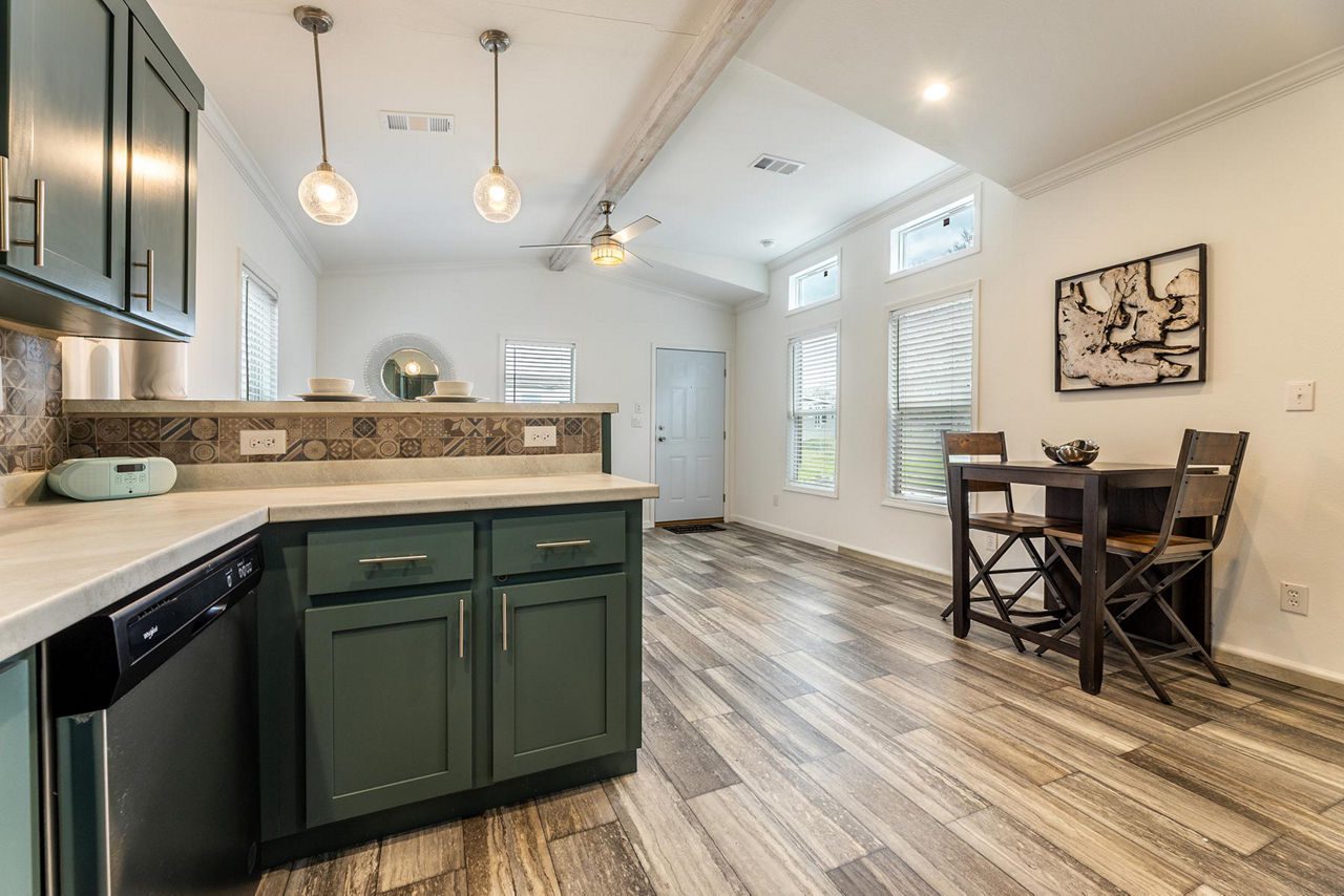 IN1650H11059 Kitchen 3