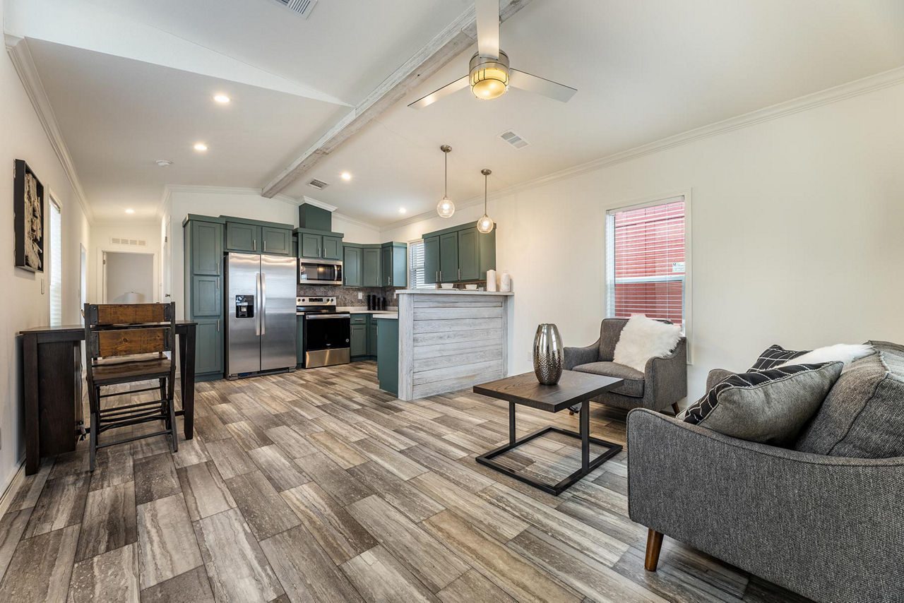 IN1650H11059 Living Room 1