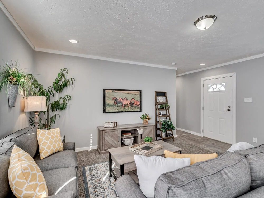 imgi 18 Big Bo 7.jpg SMALL