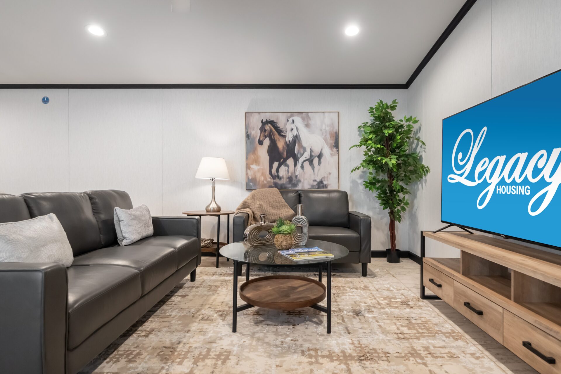 Legacy C 16x80 32M Liv 2173 1 1